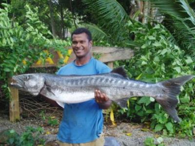 Matava Fiji, Bluefin Trevally